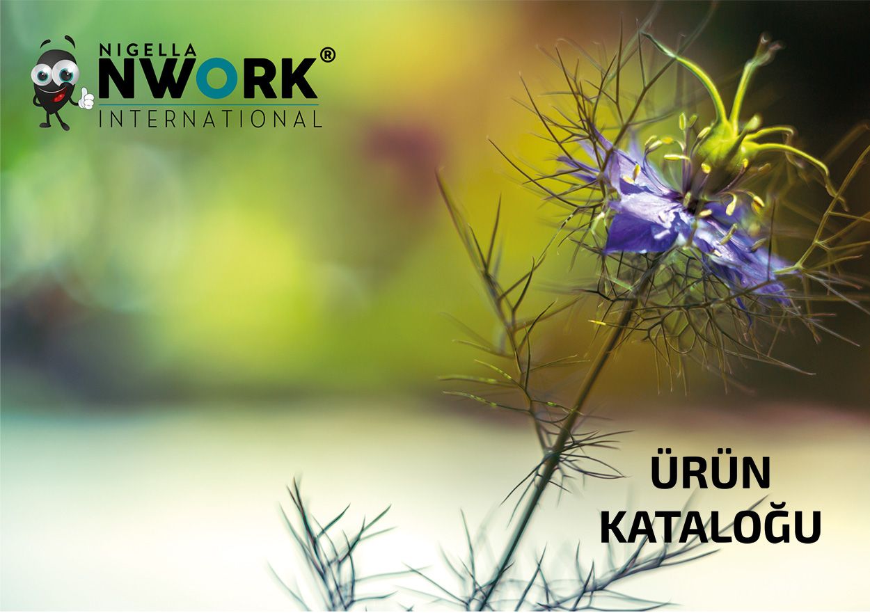Nwork 2022-1 Ürün Katalogu